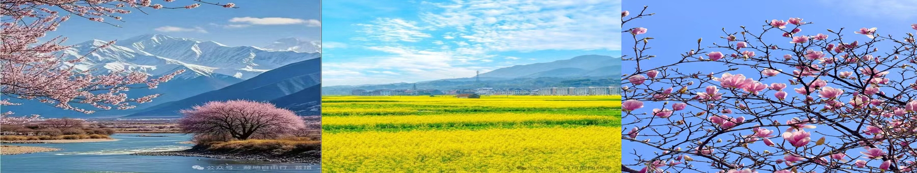 ���������Ƽ�/�����ͻ������Ƽ�