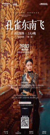 ��������˫�������α���