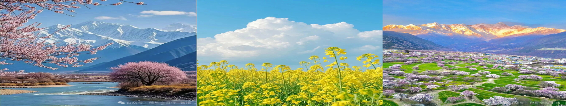 ���������ʺϴ������εĵط��Ƽ�